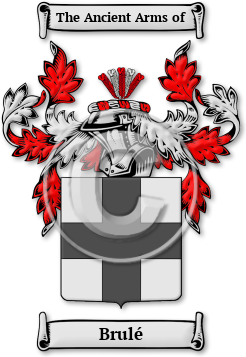 Brulé Family Crest Download (JPG) Legacy Series - 600 DPI