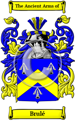 Brulé Family Crest Download (JPG) Heritage Series - 600 DPI