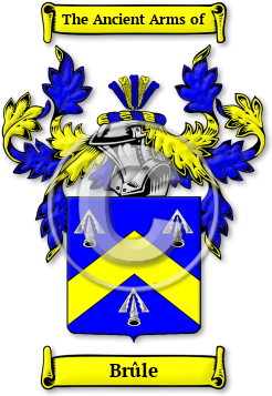 Brûle Family Crest Download (jpg) Legacy Series - 150 DPI