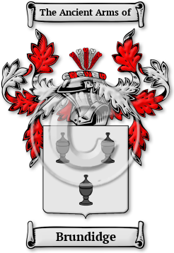 Brundidge Family Crest Download (jpg) Legacy Series - 150 DPI