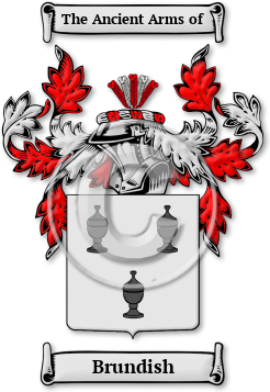 Brundish Family Crest Download (jpg) Legacy Series - 150 DPI