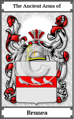 Brunea Family Crest Download (JPG) Book Plated - 600 DPI