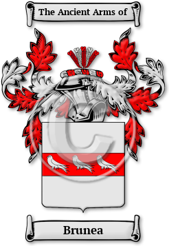 Brunea Family Crest Download (JPG) Legacy Series - 600 DPI