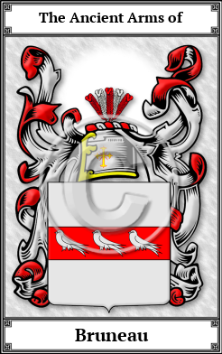 Bruneau Family Crest Download (JPG)  Book Plated - 150 DPI