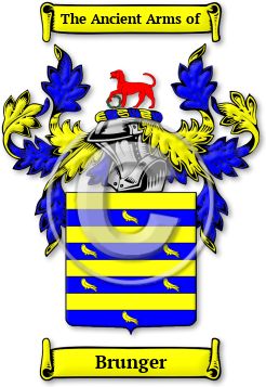 Brunger Family Crest Download (jpg) Legacy Series - 150 DPI