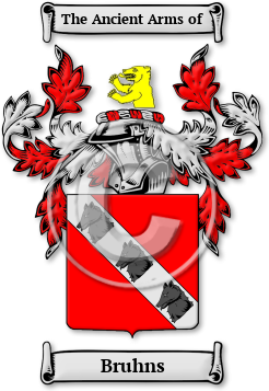 Bruhns Family Crest Download (jpg) Legacy Series - 150 DPI