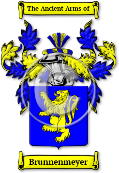 Brunnenmeyer Family Crest Download (jpg) Legacy Series - 150 DPI