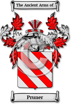 Pruner Family Crest Download (jpg) Legacy Series - 150 DPI