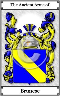 Brunese Family Crest Download (JPG) Book Plated - 600 DPI