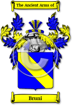 Bruni Family Crest Download (jpg) Legacy Series - 150 DPI