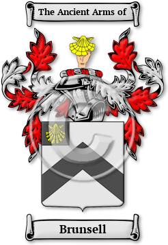 Brunsell Family Crest Download (jpg) Legacy Series - 150 DPI