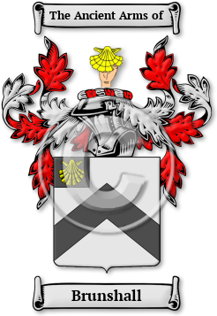 Brunshall Family Crest Download (JPG) Legacy Series - 600 DPI