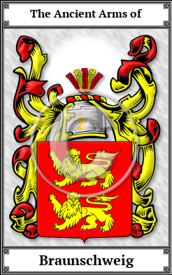 Braunschweig Family Crest Download (JPG)  Book Plated - 150 DPI