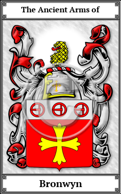 Bronwyn Family Crest Download (JPG)  Book Plated - 150 DPI