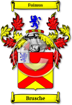 Brusche Family Crest Download (jpg) Legacy Series - 150 DPI