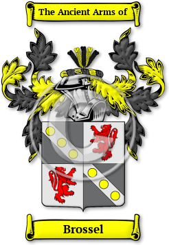Brossel Family Crest Download (jpg) Legacy Series - 150 DPI
