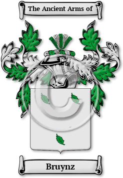 Bruynz Family Crest Download (jpg) Legacy Series - 150 DPI