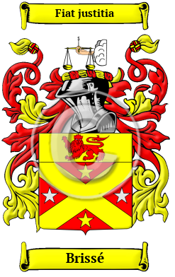 Brissé Family Crest Download (JPG) Heritage Series - 300 DPI