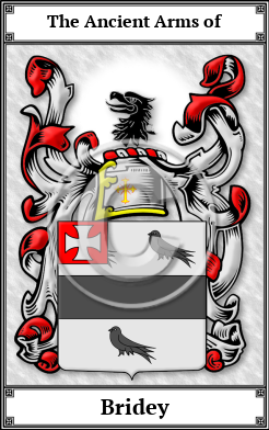 Bridey Family Crest Download (JPG)  Book Plated - 150 DPI