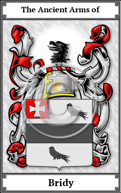 Bridy Family Crest Download (JPG)  Book Plated - 150 DPI