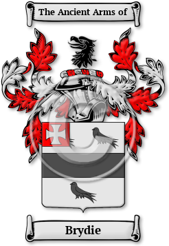 Brydie Family Crest Download (jpg) Legacy Series - 150 DPI