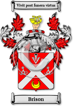 Brison Family Crest Download (jpg) Legacy Series - 150 DPI