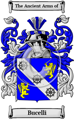 Bucelli Family Crest Download (JPG) Heritage Series - 600 DPI