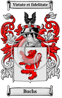 Buchs Family Crest Download (JPG) Heritage Series - 600 DPI