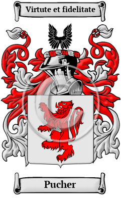 Pucher Family Crest Download (JPG) Heritage Series - 600 DPI