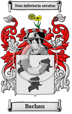 Bachan Family Crest Download (JPG) Heritage Series - 600 DPI