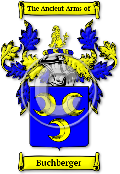 Buchberger Family Crest Download (JPG) Legacy Series - 600 DPI