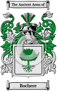 Bochere Family Crest/Coat of Arms