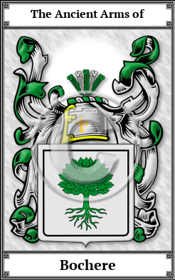 Bochere Family Crest Download (JPG)  Book Plated - 150 DPI