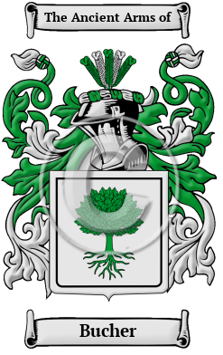 Bucher Family Crest Download (JPG) Heritage Series - 600 DPI