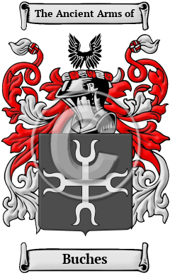 Buches Family Crest Download (JPG) Heritage Series - 600 DPI
