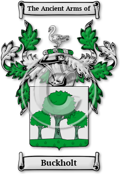 Buckholt Family Crest Download (JPG) Legacy Series - 300 DPI