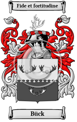 Bück Family Crest/Coat of Arms