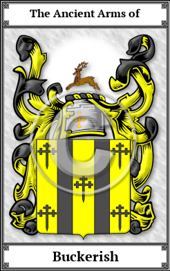 Buckerish Family Crest Download (JPG)  Book Plated - 150 DPI