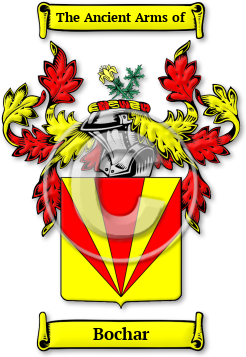 Bochar Family Crest Download (jpg) Legacy Series - 150 DPI