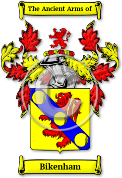 Bikenham Family Crest Download (jpg) Legacy Series - 150 DPI