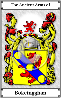 Bokeingghan Family Crest Download (JPG)  Book Plated - 150 DPI