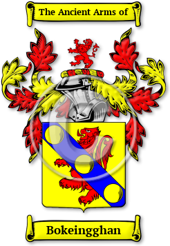 Bokeingghan Family Crest Download (jpg) Legacy Series - 150 DPI