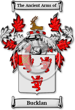 Bucklan Family Crest Download (jpg) Legacy Series - 150 DPI