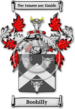 Boohilly Family Crest Download (jpg) Legacy Series - 150 DPI