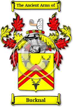 Bucknal Family Crest Download (jpg) Legacy Series - 150 DPI