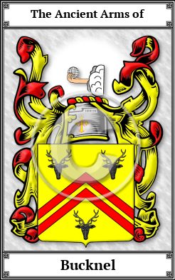 Bucknel Family Crest Download (JPG)  Book Plated - 150 DPI