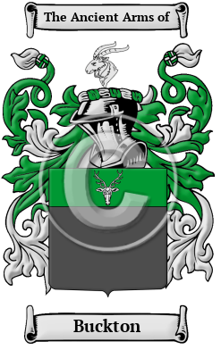 Buckton Family Crest Download (JPG) Heritage Series - 600 DPI