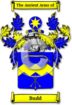 Budd Family Crest Download (jpg) Legacy Series - 150 DPI