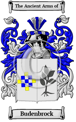 Budenbrock Family Crest/Coat of Arms