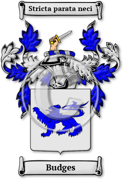 Budges Family Crest Download (jpg) Legacy Series - 150 DPI